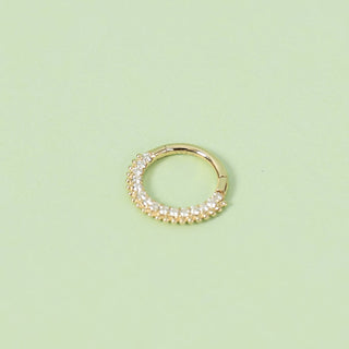 Gold hoop earring on a light green background
